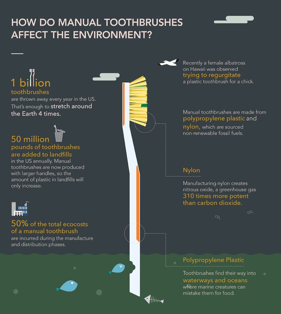 Life Cycle Of A Plastic Toothbrush