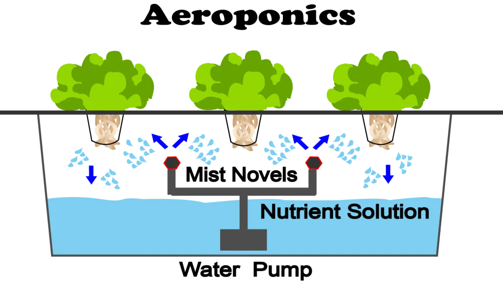 Aeroponics-hydroponics-system-mission-sustainability