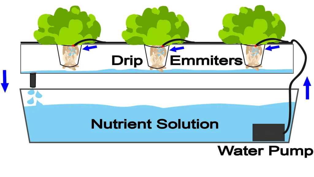 Drip_system_Hydroponic_system_mission_sustainability