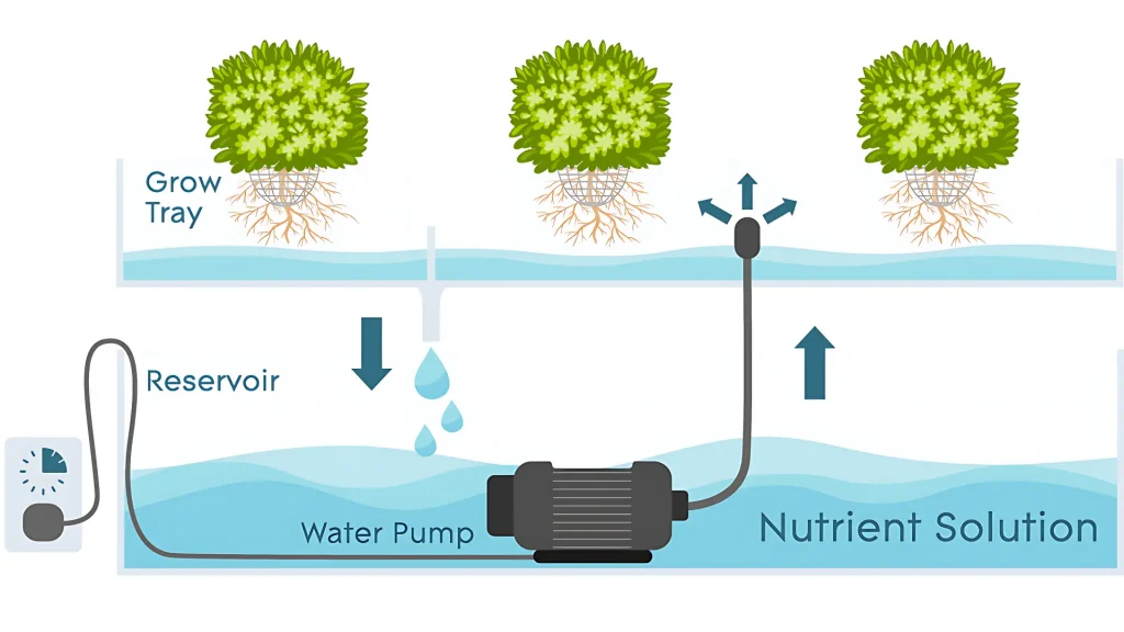 Ebb and flow_Hydroponic_system_mission_sustainability