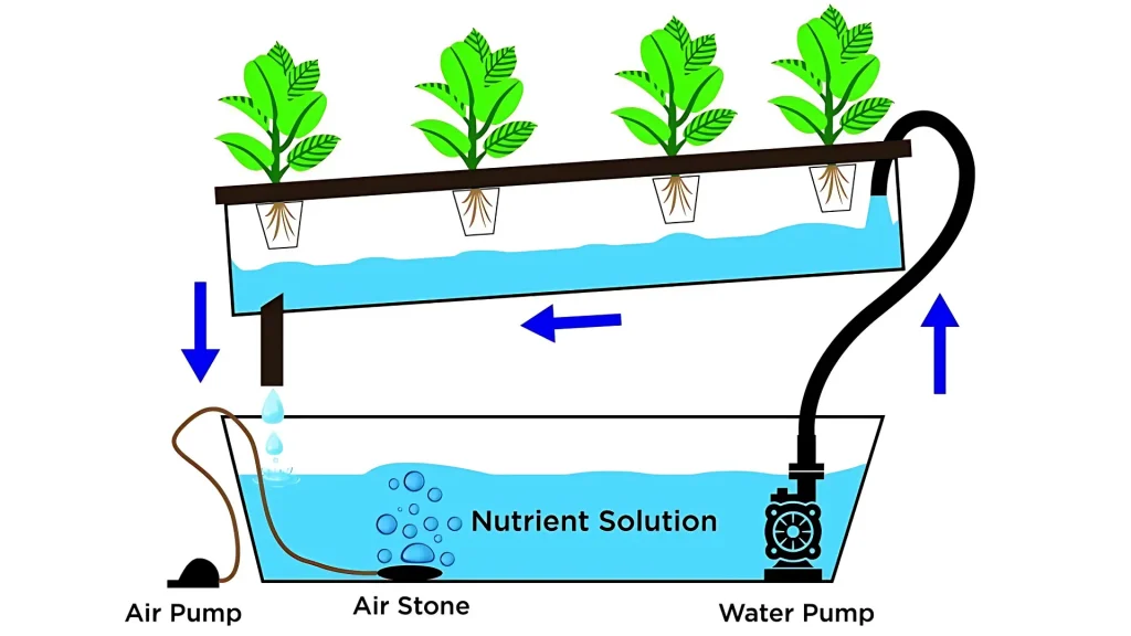 Nutrient_film_technique_Hydroponic_system_mission_sustainability