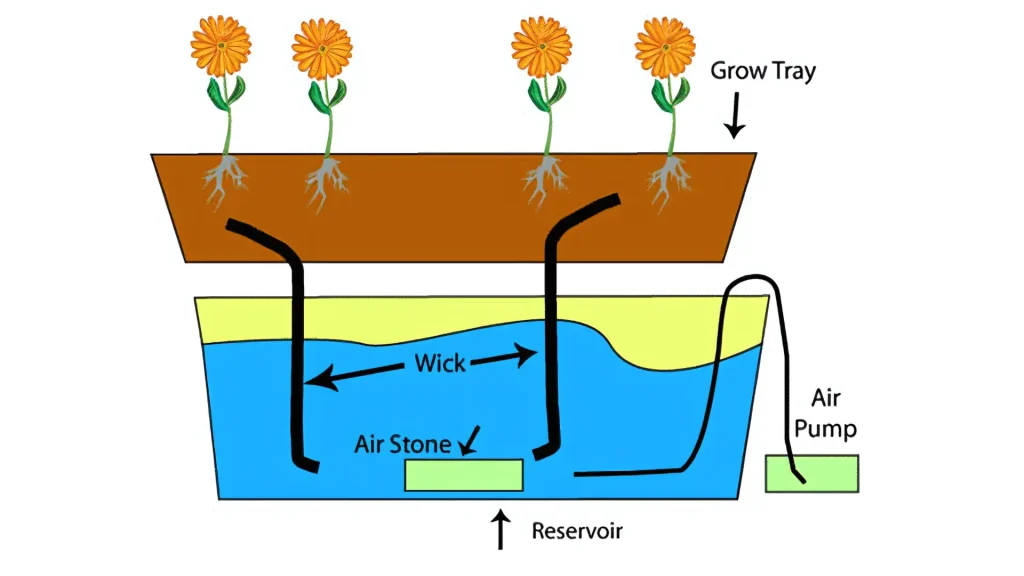 Wicking_Hydroponic_system_mission_sustainability