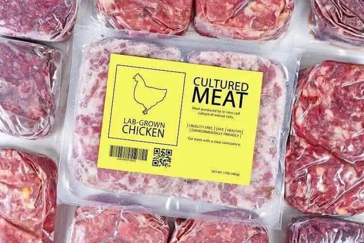 lab-grown-meat-mission-sustainability