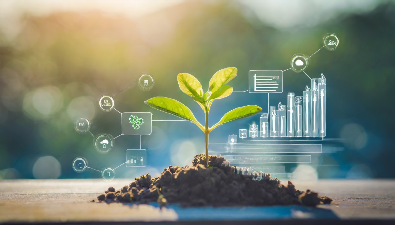 Sustainable Business: Everything You Need To Know