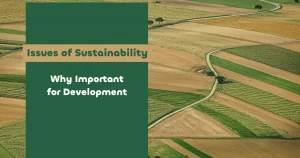 Why Are the Issues of Sustainability Important for Development