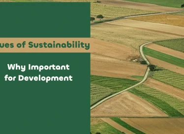 Why Are the Issues of Sustainability Important for Development