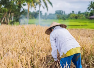 file-20191009-3894-1jwpo8o