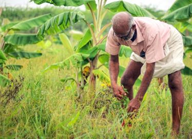 katherine_gilon_food_1_forest